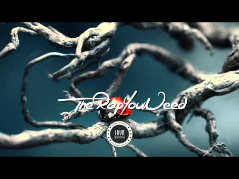 Project Lionheart - The Way We Life