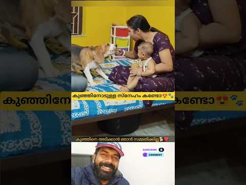 അ ഒരു സ്നേഹം കണ്ടോ😍🐾