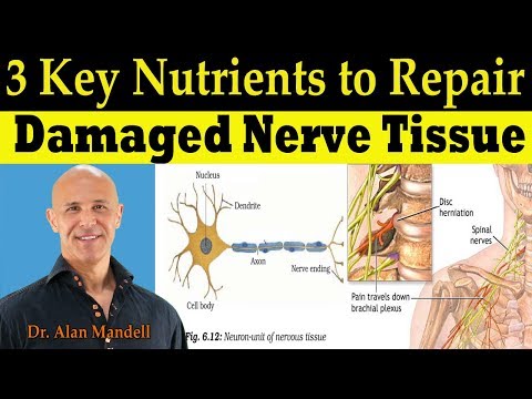 3 Key Nutrients to Repair Damaged Nerve Tissue (Pinched Nerve & Neuropathy) - Dr Alan Mandell, DC Video