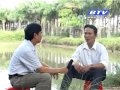 Khuyến nông 14/05/14: Mô hình nuôi cá chình thương phẩm trong ao đất