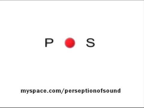 Perception Of Sound - Your Choice (Original mix)