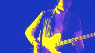 THE GARDEN - THE APPLE