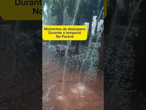 Desespero de produtores rurais durante temporal no Paraná.