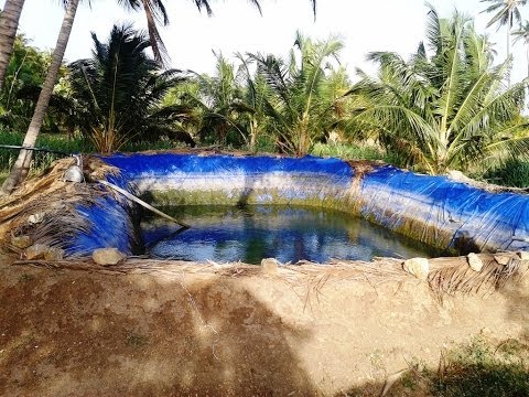 Cheapest Agro Water Pond Cum Swimming Pool