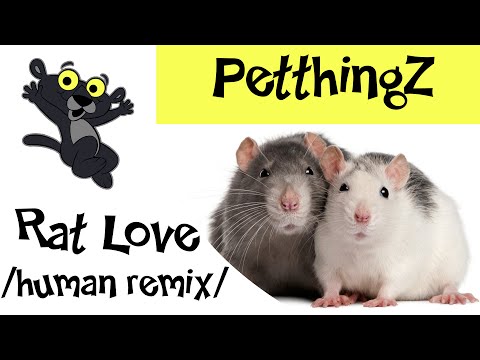 PetthingZ - RAT SEX / human remix / 18+