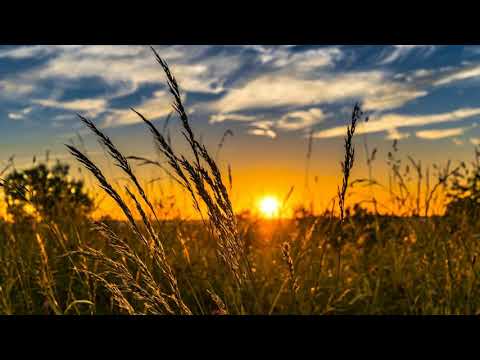 Dierb're Heer, vat mijn hand (Glorieklokken 296a)