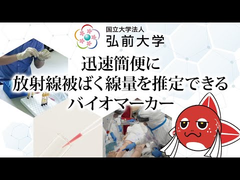 迅速簡便に放射線被ばく線量を推定できるバイオマーカー:大学院保健学研究科 柏倉幾郎 先生【2022年2-3月制作】