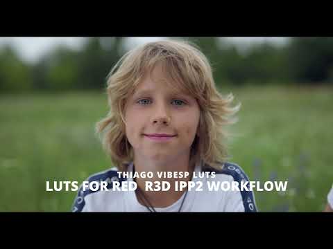 pro-grade-red-camera-r3d-ipp2-luts-for-premiere-pro - Best LUTs for Filmmakers