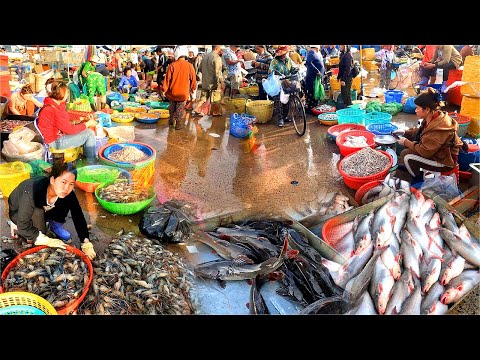Cambodian Wet Market in 2025. Daily Food, Largest Fish Distribution Area in Phnom Penh.