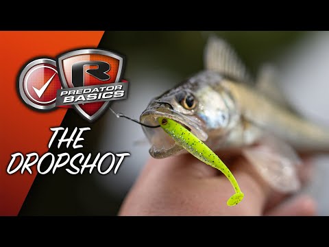 PREDATOR BASICS #3 | How to fish the Dropshot For Perch and Zander | Lure fishing made easy!