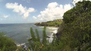 preview picture of video '140516 Tobago - West View From Bacolet'