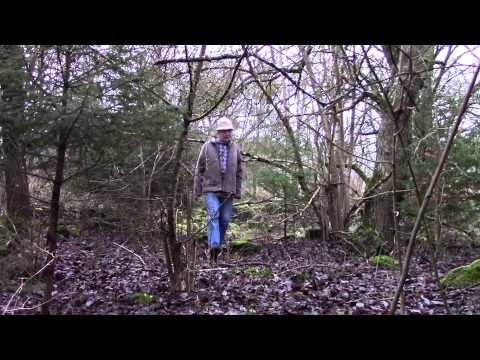 Die Eschbach Mühle (Bei Münk) In Der Eifel