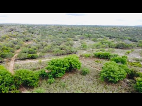 Fazenda em juazeirinho-PB, Medindo 120 hectares, Valor R$ 499.000,00