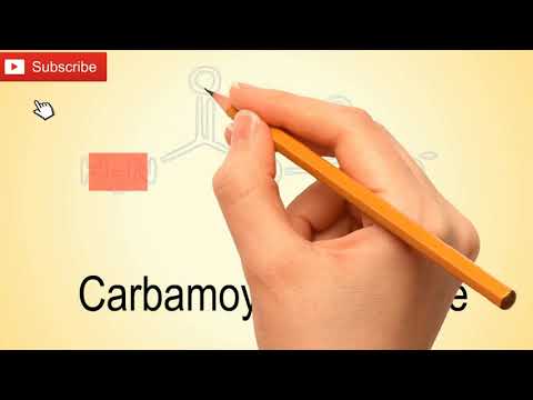 UREA CYCLE [ANIMATION]-AWARD WINNING