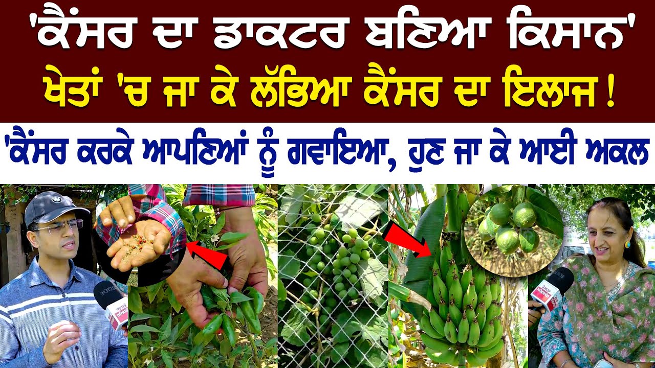 Cancer Doctor Emerges as a Farmer, Discovered cure for Cancer from the fields! Cancer Doctor Emerges as a Farmer, Discovered cure for Cancer from the fields!