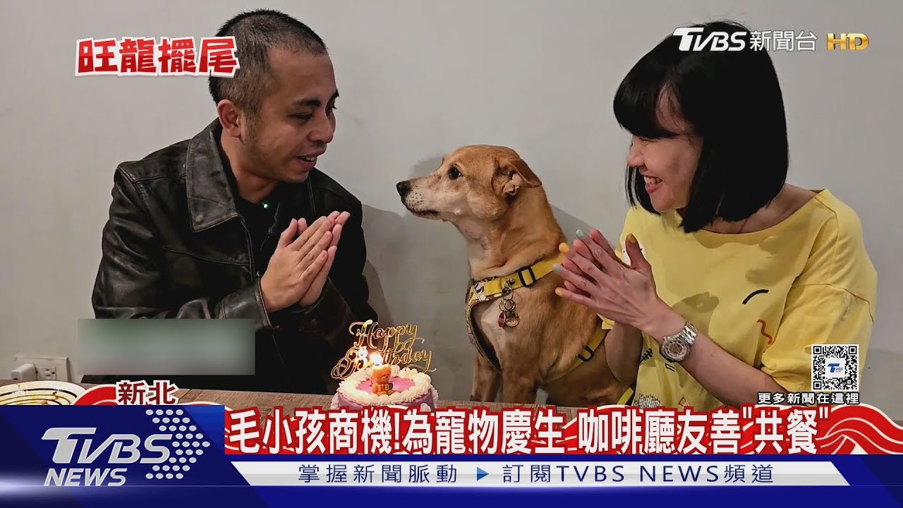 毛小孩商機!為寵物慶生 咖啡廳友善「共餐」