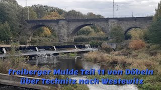 Freiberger Mulde Teil 11 von Döbeln über Technitz nach Westewitz