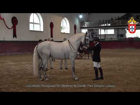 231021 34 Orgullito - Aprovação de Reprodutores