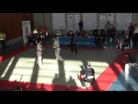 France 2014 Benjamin Boquain vs DJema Belkhodja 1er tour plus 90 kgs