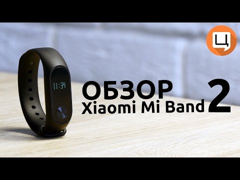 Обзор Xiaomi Mi Band 2 (black)