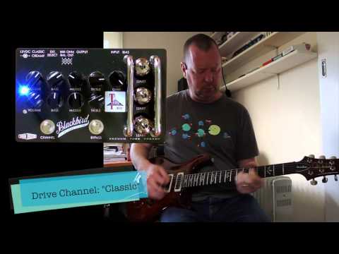 Effectrode Blackbird Vacuum Tube Preamp 2010s - Black image 3