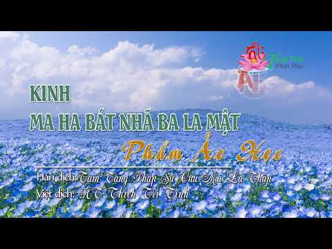 11. Phẩm Ảo Học