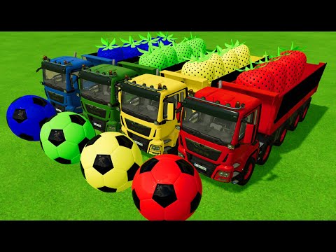 FIAT TRACTORS vs COLORED SOCCER BALLS WITH STRAWBERRYS - Farming Simulator 22