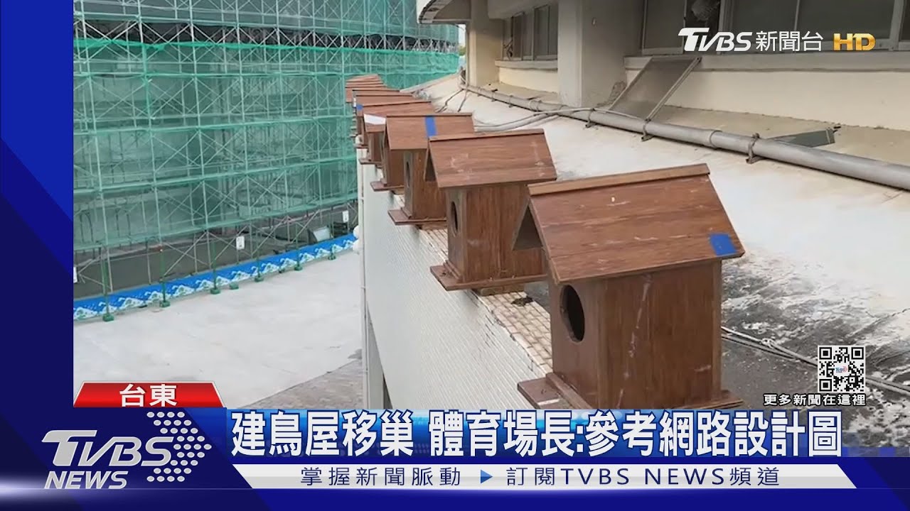 美意變調!建人工鳥屋惹議 害雛鳥成孤兒