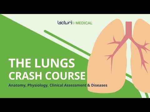 Learn the Lungs from Start to Finish 🫁 High-Yield Medical Crash Course
