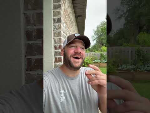 CALIFORNIA SECEDING..? Please Gav Be This Stupid #shortsfeed #shortsvideo #atf #biden #congress Thumbnail