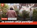 Zelfs AZC Azelo 'rooft' planten uit Boswinkel voor de asielzoekerstuin