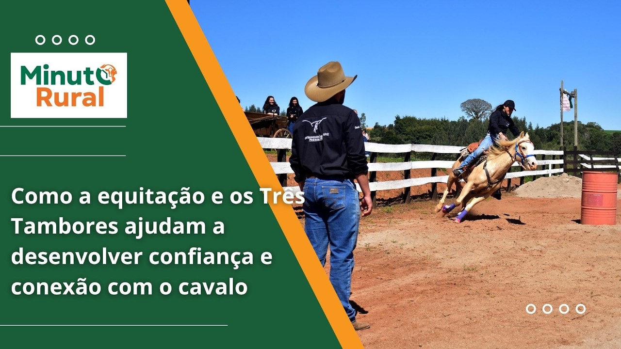 Como a equitação e os Três Tambores ajudam a desenvolver confiança e conexão com o cavalo