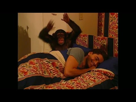 FULL HOUSE - "A Chimpanzee Annoys Uncle Jesse in the Attic"