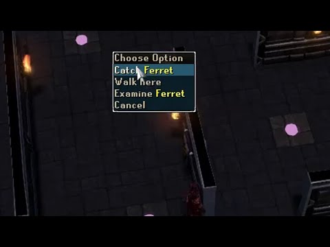Dungeoneering hunter ferret | Puzzle quick guide