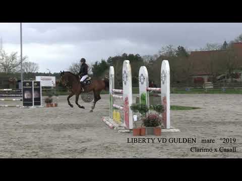 Liberty VD Gulden