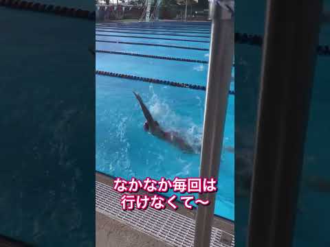プールでの越冬：プールを大切にするために知っておくべきことすべて！  庭園