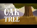 The Oak Tree US English Accent TheFableCottage Com