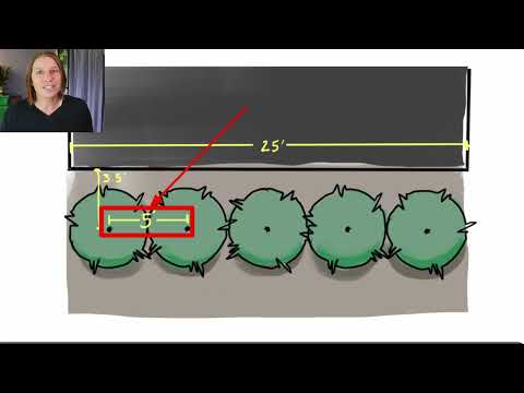 Plant Spacing Secrets (& how to balance your landscape)
