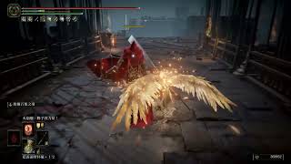 [法環] 更新後的熔爐之羽