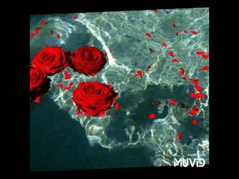 acabou a água -Barca na batida, mc Reino, chefe coringa, Ricardinho, mc 3l