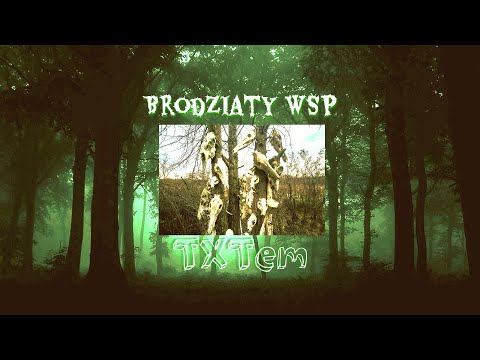 Brodziaty WSP - TXTem (Prod. 808 Instinct)