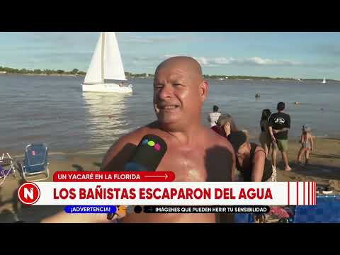 Susto en La Florida: apareció un yacaré a pocos metros de la costa | TELEFE ROSARIO