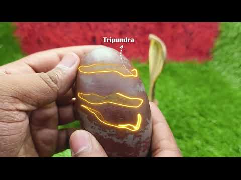 Himeshwar Omkar Shiva Shivlingam video