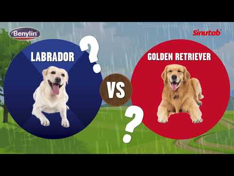 Sinutab and Benylin's Know the Difference