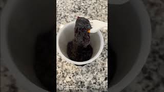 Download lagu Feeding my dad the spiciest noodles ever without telling him! #noodles #spicy #prank #dad mp3