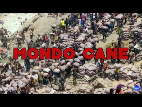 MONDO CANE: ep.1 Il lato oscuro dell'ecologia nel Capitalismo