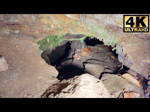Altbergbau oder einfach nur ein Loch?