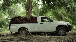 Download lagu Isuzu D Max Single Cab Pickup 3.0 mp3