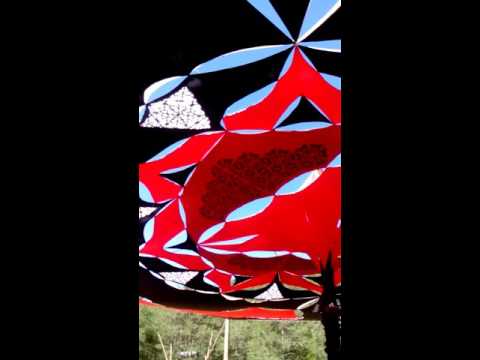 Tazmanics live @ kali mela Festival 2016