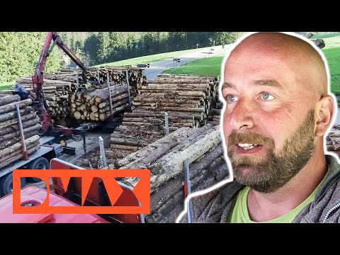 48 Tonnen Holz | Asphalt Cowboys | DMAX Deutschland